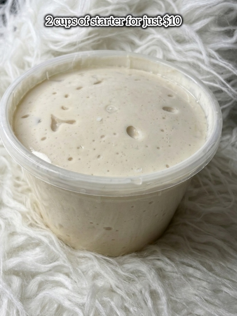 Sourdough Starter (4 Months Old) – $10 Each or 2 for $15 🥖 - Picture 5 of 14